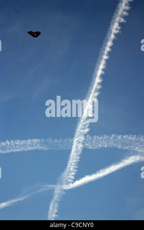 Aircraft contrails in the sky above Tempelhof Airport in Berlin. Stock Photo