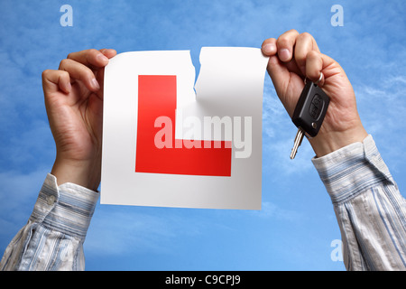 Tearing up L plate after passing driving test Stock Photo