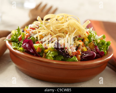 Mixed green salad topped with tortilla strips Stock Photo