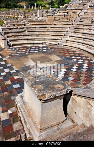 mosaic floor in ancient messini number 3370 Stock Photo - Alamy