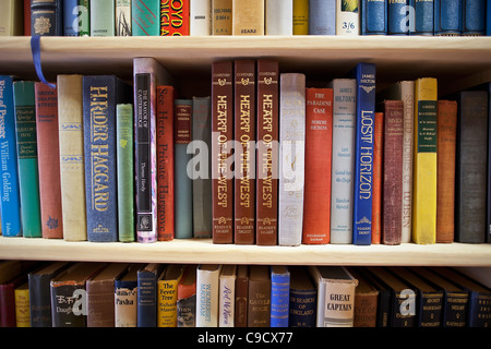 Hardcover books on shelf in a used bookstore. Stock Photo