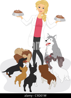 Illustration of a Vet Feeding Dogs Stock Photo