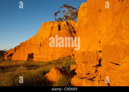 The rich late afternoon colours of Redbanks Conservation Park near the old copper mining town of Burra in inland South Australia Stock Photo