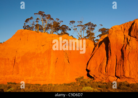 The rich late afternoon colours of Redbanks Conservation Park near the old copper mining town of Burra in South Australia Stock Photo