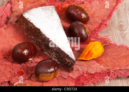 Delicious slice of chestnut cake for autumn season Stock Photo