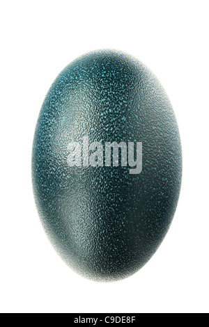 close up of an emu egg isolated on a white background Stock Photo