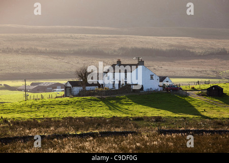 Remote farmhouse, Forest in Teedale, County Durham Stock Photo