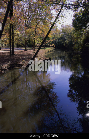 Trees in autumn, Silver Lake Park, Dover, Delaware, USA Stock Photo