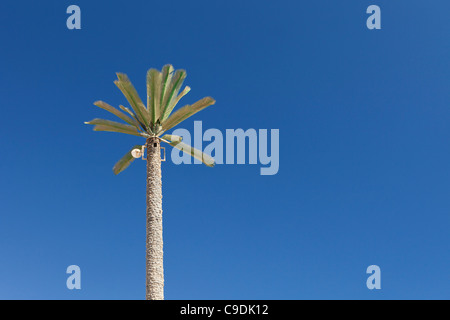 A mobile phone mast concealed as a palm tree in Egypt Stock Photo