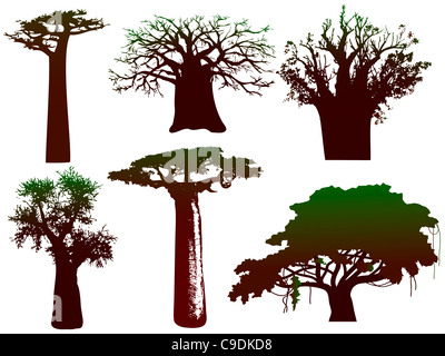 various African trees and bushes Stock Vector Art & Illustration