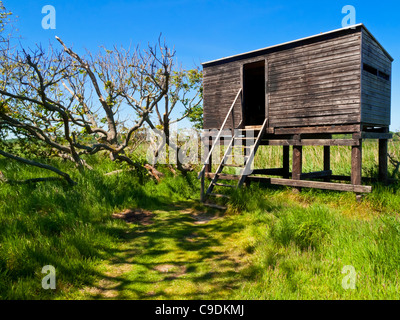 Bird hide on the Suffolk coast at Benacre National Nature Reserve near Southwold in Eastern England UK Stock Photo