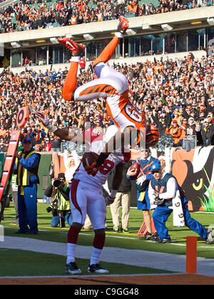 Jerome Simpson's touchdown flip keeps Bengals alive - CBS News