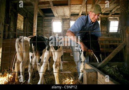 July 11, 2007 - Dixon, Illinois, USA -  Paul Burrs, 28, farms 400 acres near Dixon, Illinois, and raises cattle with Matt Schumacher, 28, on another 100 acres at Matt's farm. Burrs is banding the cattle to cut off circulation to the testicles, which results in their eventual dropping off. (Credit Im Stock Photo