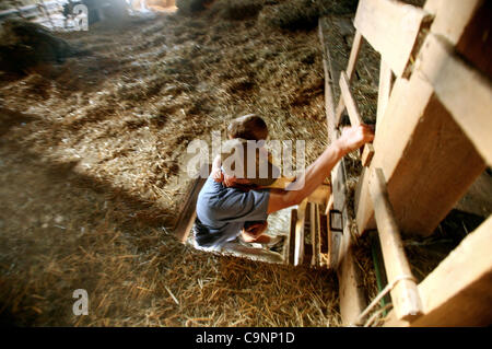 July 11, 2007 - Dixon, Illinois, USA -  Paul Burrs, 28, helps Jacob Schumacher, 3, down the ladder from the hay barn. Burrs and Matt Schumacher, Jacob's father, farm 500 acres together near Dixon, Illinois. (Credit Image: © Sally Ryan/ZUMA Press) Stock Photo