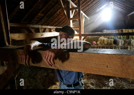 July 11, 2007 - Dixon, Illinois, USA -  Paul Burrs, 28, farms 400 acres near Dixon, Illinois, and raises cattle with Matt Schumacher, 28, on another 100 acres at Matt's farm. (Credit Image: © Sally Ryan/ZUMA Press) Stock Photo