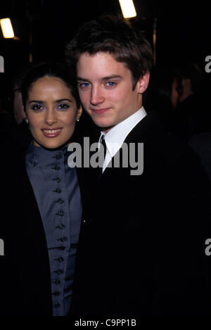 Dec. 21, 1998 - Hollywood, California, U.S. - K14409TR.ELIJAH WOOD & SALMA HAYEK.''The Faculty'' Premiere.L.A., CA. 12/21/1998(Credit Image: Â© Tom Rodriguez/Globe Photos/ZUMAPRESS.com) Stock Photo