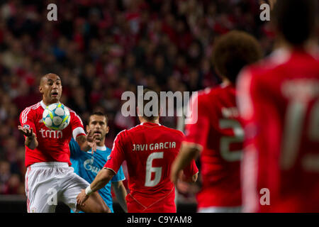 6 March 2012 - Lisbon, Portugal -  Luisao SL Benfica Defender receiving the ball   during the game between Portugal SL Benfica and Russia FC Zenit St Petersburg for second leg of the Round of 16 (1/8th finals), of the Uefa Champions League at Luz Stadium, in Lisbon.  Photo Credit: Pedro Nunes Stock Photo