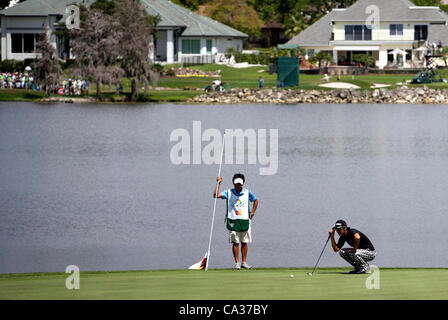 (L-R) Hiroyuki Kato, Ryo Ishikawa (JPN), MARCH 23, 2012 - Golf : Ryo Ishikawa of Japan lines up with his caddie on the green of 6th hole during the second round of the Arnold Palmer Invitational at Arnold Palmer's Bay Hill Club and Lodge in Orlando, Florida. (Photo by Thomas Anderson/AFLO)(JAPANESE  Stock Photo