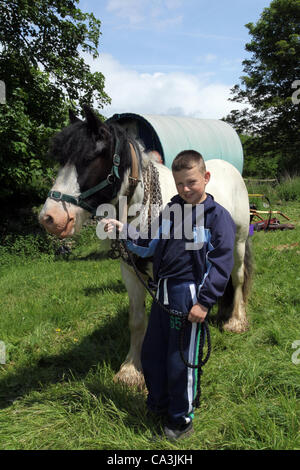 1st June 2012: James Livesey with Cob horse and Bow Top Carriage in Kirkby Lonsdale at the assembly point for the Appleby Horse Fair, Cumbria, UK. Traditional horse-drawn Gypsy caravans or “Bow Top” canvas-covered Wagons en-route to the annual gathering at Appleby, South Lakeland , UK    Cob and  Romany showman's accommodation Wagon of the Travelling Community, camping at Bainbridge, in the North Yorkshire Dales, en route to the Appleby Horse Fair, UK Stock Photo