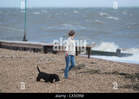 Woman walking dog on beach in very windy weather with waves crashing onto pebbles. Stock Photo