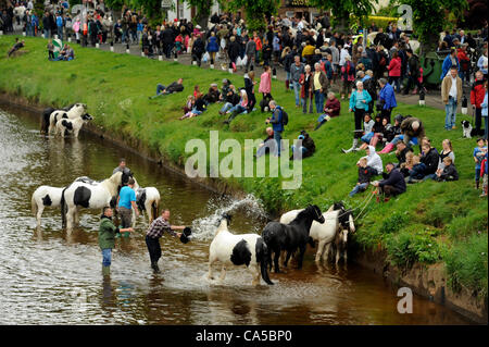 Appleby Horse Fair 2012. Thousands of people from the Gypsy and Traveller community descend on the small Cumbrian town of Appleby in Westmorland for the annual Appleby New Fair. The ancient fair dates back centuries and is one of the main events of the year for the Gypsy and Traveller community. The Stock Photo