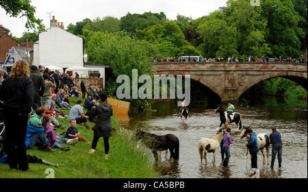 Appleby Horse Fair 2012. Thousands of people from the Gypsy and Traveller community descend on the small Cumbrian town of Appleby in Westmorland for the annual Appleby New Fair. The ancient fair dates back centuries and is one of the main events of the year for the Gypsy and Traveller community. The Stock Photo