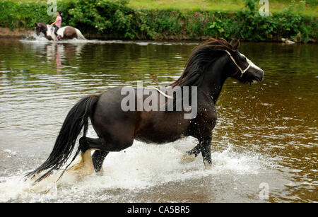 Appleby Horse Fair 2012. Thousands of people from the Gypsy and Traveller community descend on the small Cumbrian town of Appleby in Westmorland for the annual Appleby New Fair. The ancient fair dates back centuries and is one of the main events of the year for the Gypsy and Traveller community. The Stock Photo