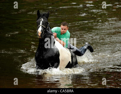 Appleby Horse Fair 2012. Thousands of people from the Gypsy and Traveller community descend on the small Cumbrian town of Appleby in Westmorland for the annual Appleby New Fair. The ancient fair dates back centuries and is one of the main events of the year for the Gypsy and Traveller community. The Stock Photo