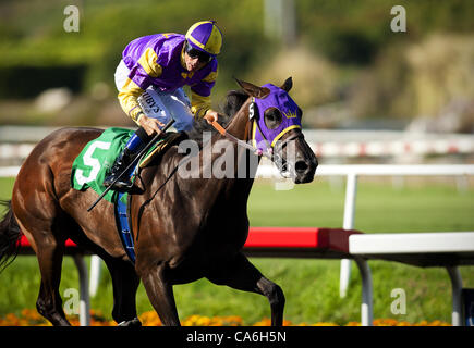 June 16, 2012 - Arcadia, California, U.S. - Love Theway Youare with Garrett Gomez up wins the Vanity Handicap at Betfair Hollywood Park in Inglewood. (Credit Image: © Alex Evers/Eclipse Sportswire/Eclipse/ZUMAPRESS.com) Stock Photo