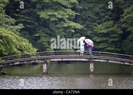 June 8, 2012 - Tokyo, Japan - June 9, 2012 - Tokyo, Japan - The Shinjuku Gyoen National Garden in Tokyo is crisscrossed with walking paths and bridges, and blends three styles: French Formal, English Landscape and Japanese Traditional. (Credit Image: © David Poller/ZUMAPRESS.com) Stock Photo