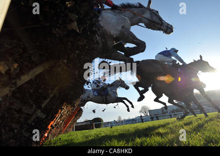 Horses jump the last in the Neptune Investment Management Novices´ Hurdle (Registered As The Winter Novices´ Hurdle) at Sandown Park Racecourse, Esher, Surrey - 02/12/2011 - MANDATORY CREDIT: Martin Dalton Stock Photo