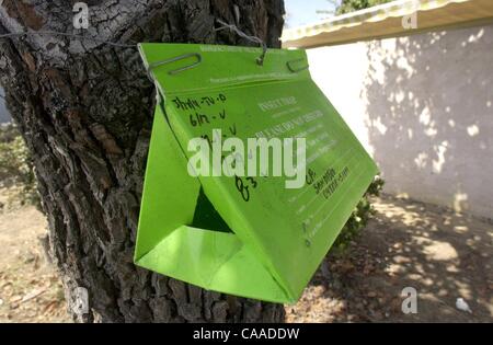 Spotted – Gypsy Moth Traps