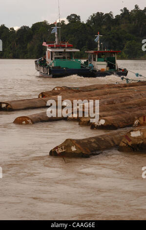 BERAU, EAST KALIMANTAN, INDONESIA  MAY 11, 2003    Illegal logging in Kalimantan is still rampart.  Government officials to the military are involved in the process making it hard to get rid of the process.    Photo by Timur Angin/JiwaFoto Stock Photo