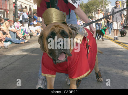 Jun 05, 2004; Santa Barbara, CA, USA; Dog owners and their four-legged friends got all decked out to walk and march down State Street in 10th annual Big Dogs Parade and Canine Festival. Stock Photo