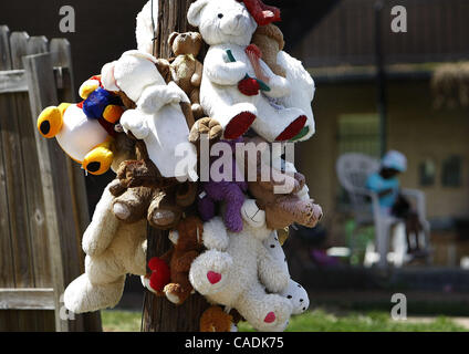 July 23, 2010 - Memphis, Tn, U.S. - 23 July 10 (mwmemorial) photo by Mark Weber -A memorial of teddy bears hangs on a telephone pole outside the apartments at 261 Jones Friday afternoon. Because of neighborhood violence and recent death of pit bull victim William Parker area residents have planned a Stock Photo