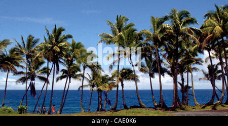 Jul 03, 2010 - Big Island, Hawaii, U.S. - A creative artist carved an ...