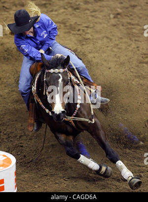 Tiffany fox hi-res stock photography and images - Alamy