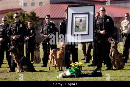 HLoPDdog281594x001.jpg 1/14/2008 CAMP PENDLETON (San Diego County California) USA  Police service dogs and their handlers surround a photo of Oceanside Police Service Dog “Stryker” during memorial service at Camp Pendleton for the dog killed in the line of duty on December 31, 2007 when the man that Stock Photo