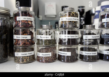 January 15th, 2008, Escondido, California, USA.  These are some of the teas that are available on Tuesday at Blue Mug Coffee and Tea in north Escondido, California.   Mandatory Credit: photo by Eduardo Contreras/San Diego Union-Tribune/Zuma Press. copyright 2008 San Diego Union-Tribune Stock Photo
