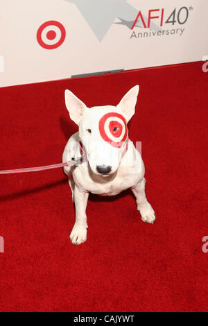 Oct 02, 2007; Hollywood, California, USA;  Mascot BULLSEYE the Target Dog at  AFI'S 40th Anniversary Presented by Target held at the Arclight Cinemas, Hollywood Mandatory Credit: Photo by Paul Fenton/ZUMA Press. (©) Copyright 2007 by Paul Fenton Stock Photo