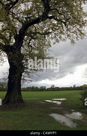 As the April showers continue across Britain, more stormy weather and flooded fields at Tolworth Court Farm, green belt land in South West London, England, UK Stock Photo