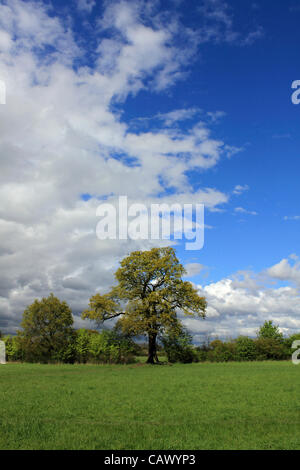 The skies finally clear after the April showers continue across Britain, at Tolworth Court Farm, green belt land in South West London, England, UK Stock Photo