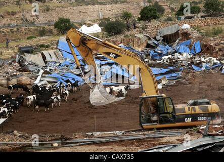 May 1, 2012 - Hebron, West Bank, Palestinian Territory - Israeli soldiers surround a bulldozer as it destroys a Palestinian farm to cows in the  West Bank city of Hebron, May. 01, 2012. Reports state that tensions rose as Palestinian homes were destroyed by Israeli authorities for allegedly not havi Stock Photo