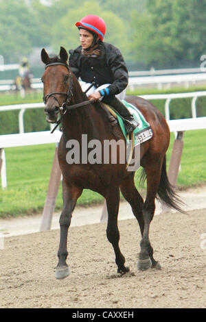 May 5, 2012 - Elmont, New York, U.S. - Boisterous with Alan Garcia aboard win the Grade III Fort Marcy for 3-year olds & up, 1 1/16 mile on the Widener turf, at Belmont Park. Trainer Claude ''Shug'' McGaughey.  Owner Phipps Stable. (Credit Image: © Sue Kawczynski/Eclipse/ZUMAPRESS.com) Stock Photo