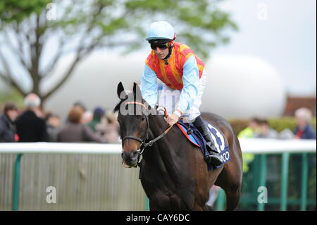 06.05.2012 Newmarket England. Newmarket Festival of Racing. Mountain Range with Eddie Ahern up. The Qipco Supporting British Racing Stakes. Stock Photo