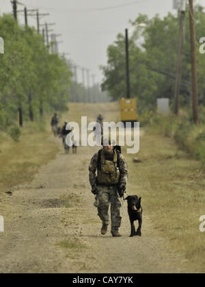 May 5, 2012 - DoD K9 Trials-May 4, 2012-Lackland Air Force Base-San Antonio, Texas---Soldier move along a road  during the Department of Defense K9 Trials at Lackland Air Force Base in San Antonio, Texas.  They'll test military working dog teams in a variety of missions, including detecting narcotic Stock Photo