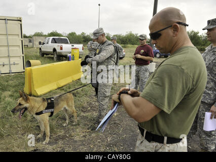 May 4, 2012 - DoD K9 Trials-May 4, 2012-Lackland Air Force Base-San Antonio, Texas--Sgt William Silker (left) and Gunnery Sgt. Kristopher Knight check their watches before a timed search for Silker and his dog during the Department of Defense K9 Trials at Lackland Air Force Base in San Antonio.  The Stock Photo