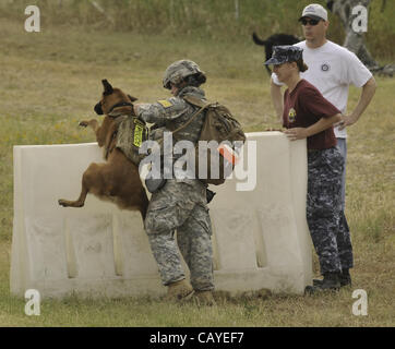 May 5, 2012 - DoD K9 Trials-May 4, 2012-Lackland Air Force Base-San Antonio, Texas--With the encouragement of other soldier, Sgt. Elizabeth Wenke lifts her dog over an obstacle during the 6 mile Iron Dog competition during the Department of Defense K9 Trials at Lackland Air Force Base in San Antonio Stock Photo