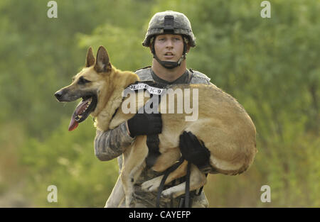 May 5, 2012 - DoD K9 Trials-May 4, 2012-Lackland Air Force Base-San Antonio, Texas---A soldier carries his dog uphill as part of the Iron Dog Competition during the Department of Defense K9 Trials at Lackland Air Force Base in San Antonio, Texas.  They'll test military working dog teams in a variety Stock Photo