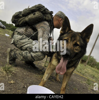 May 4, 2012 - Soldiers and dogs cool off the during the Department of Defense K9 Trials at Lackland Air Force Base in San Antonio, Texas.  They'll test military working dog teams in a variety of missions, including detecting narcotics or explosives, protecting handlers, doing building searches, and  Stock Photo